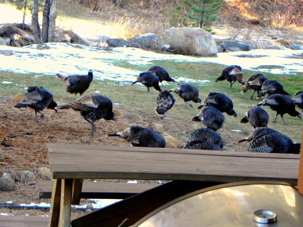 Riverview Pines Villa Estes Park Luaran gambar