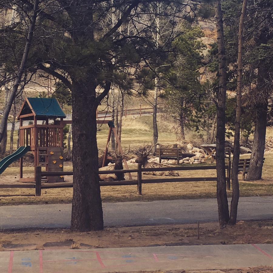 Riverview Pines Villa Estes Park Luaran gambar