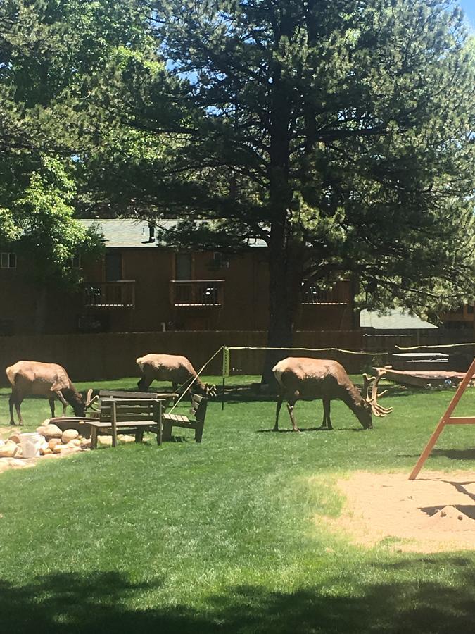 Riverview Pines Villa Estes Park Luaran gambar
